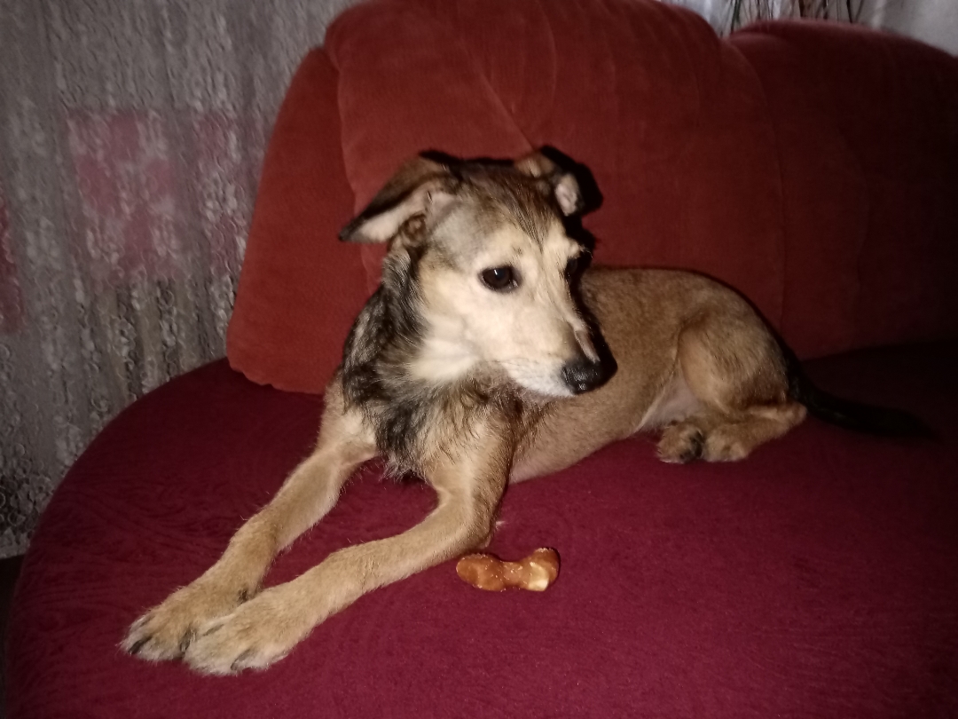 pFotky-foceny-z-Honor-9A-plynulost-chodu-mobilu-a-skvěle-padne-do-ruky