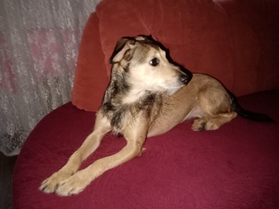 pFotky-foceny-z-Honor-9A-plynulost-chodu-mobilu-a-skvěle-padne-do-ruky