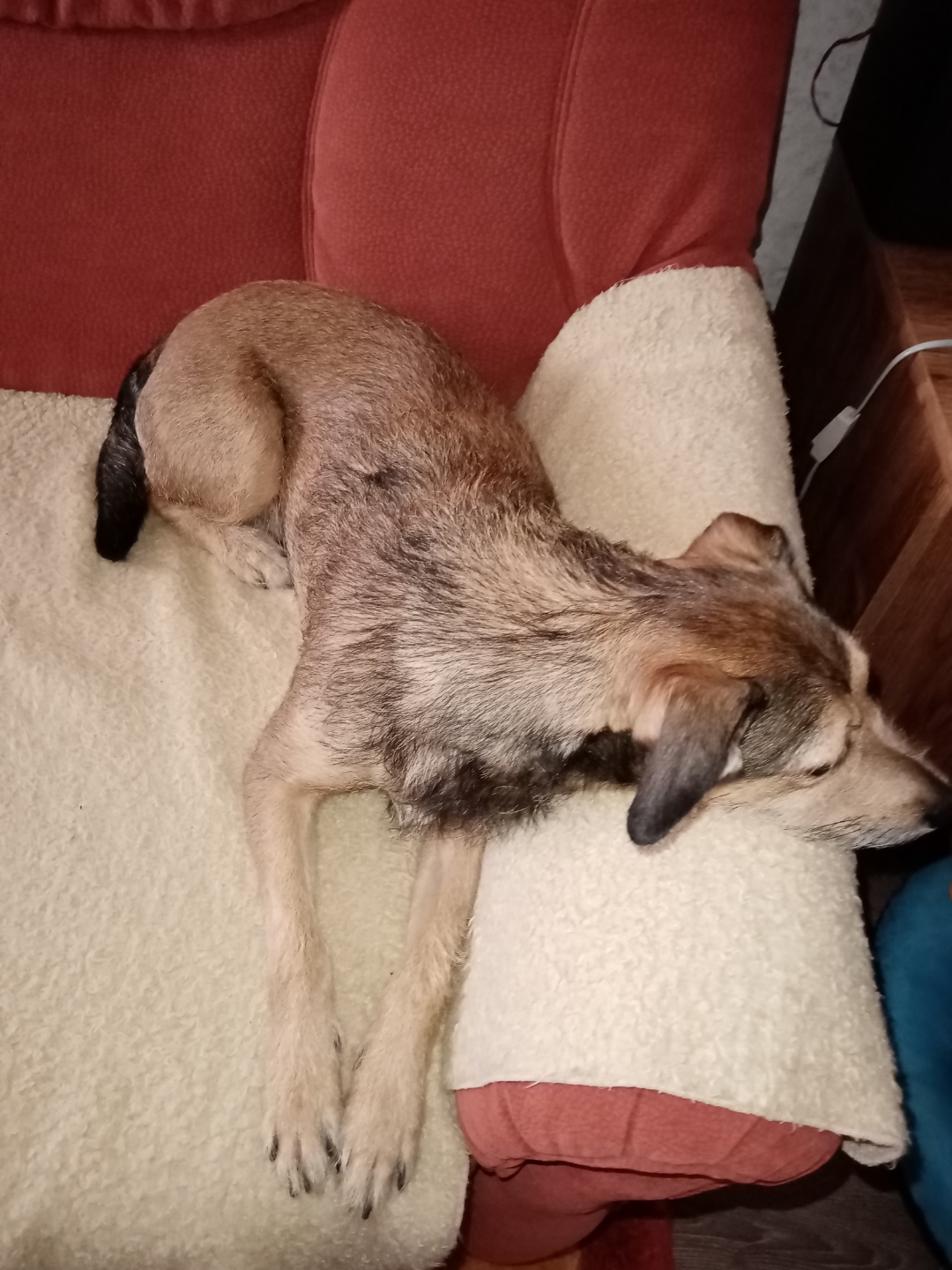 pFotky-foceny-z-Honor-9A-plynulost-chodu-mobilu-a-skvěle-padne-do-ruky