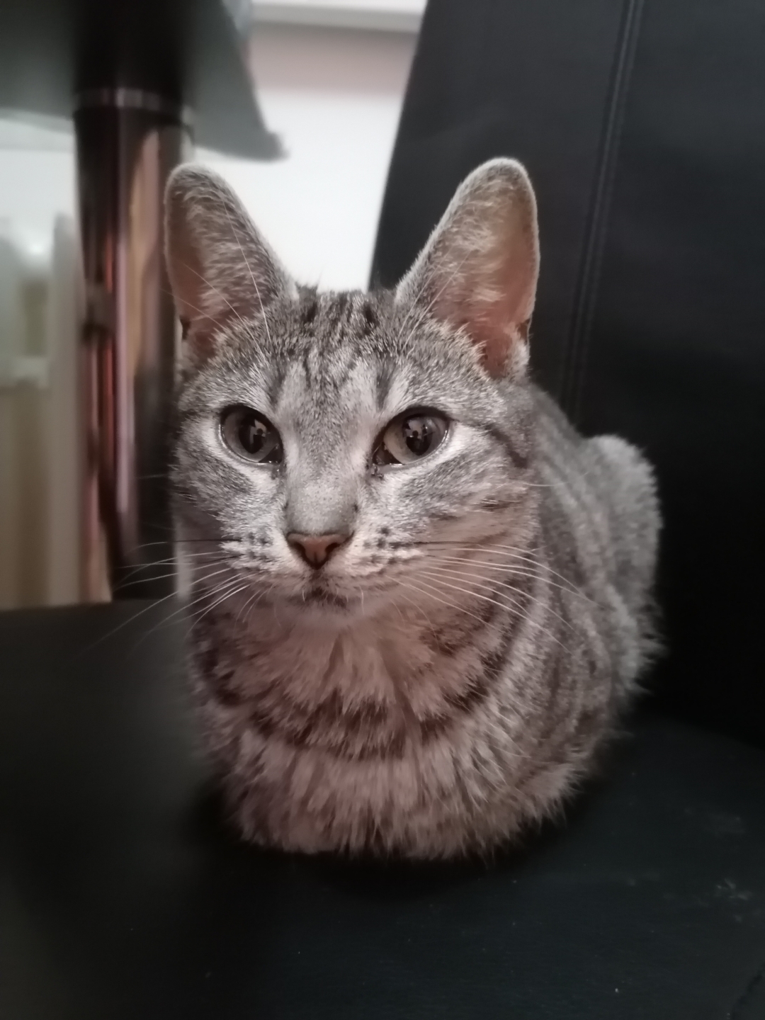 p-styletext-align-centerstrongspan-stylecolorrgb2271089font