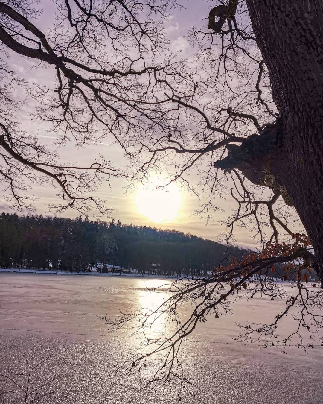 p-styletext-align-centerstrongspan-stylecolorrgb2271089font