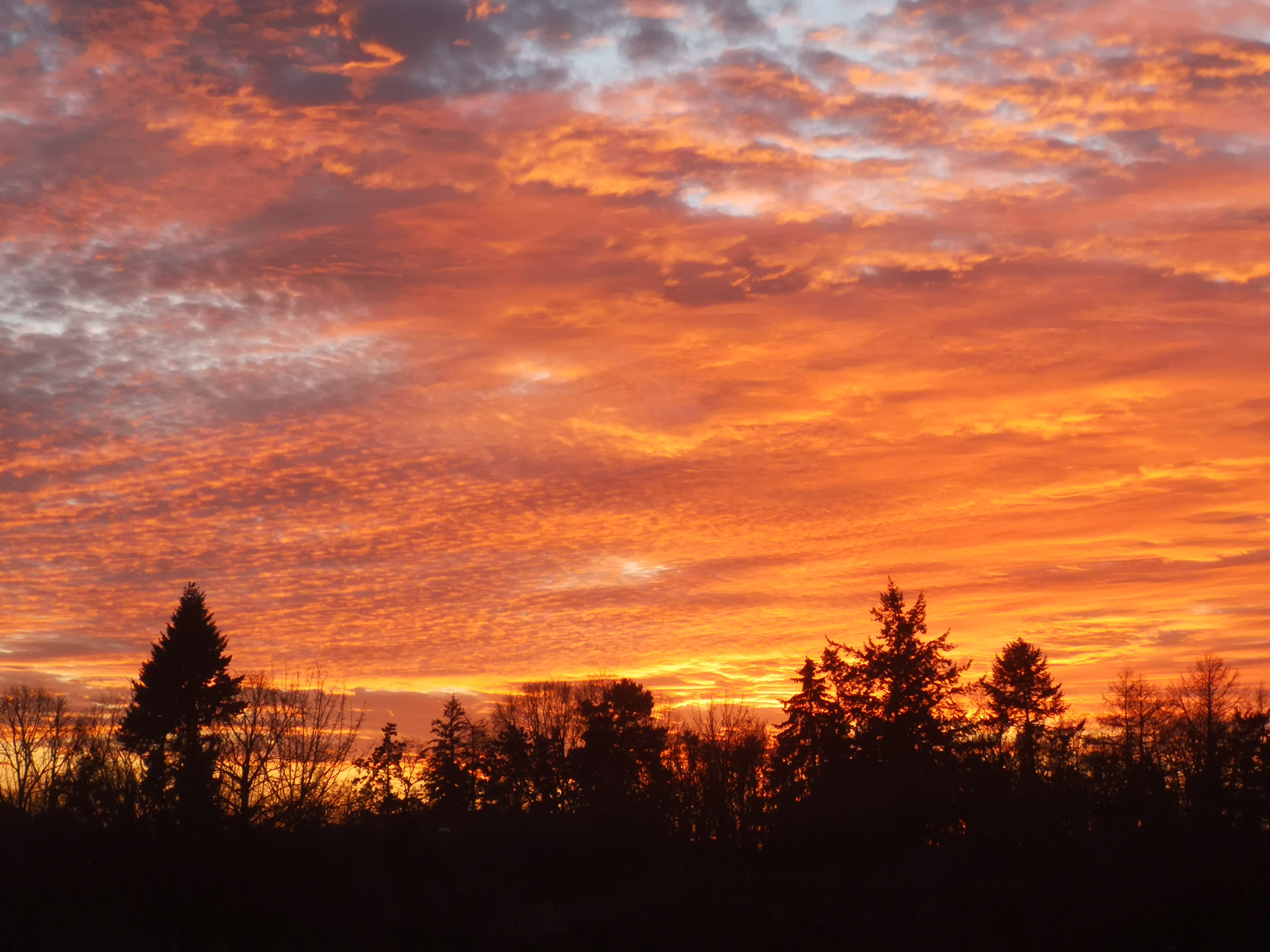 p-styletext-align-centerstrongspan-stylecolorrgb2271089font