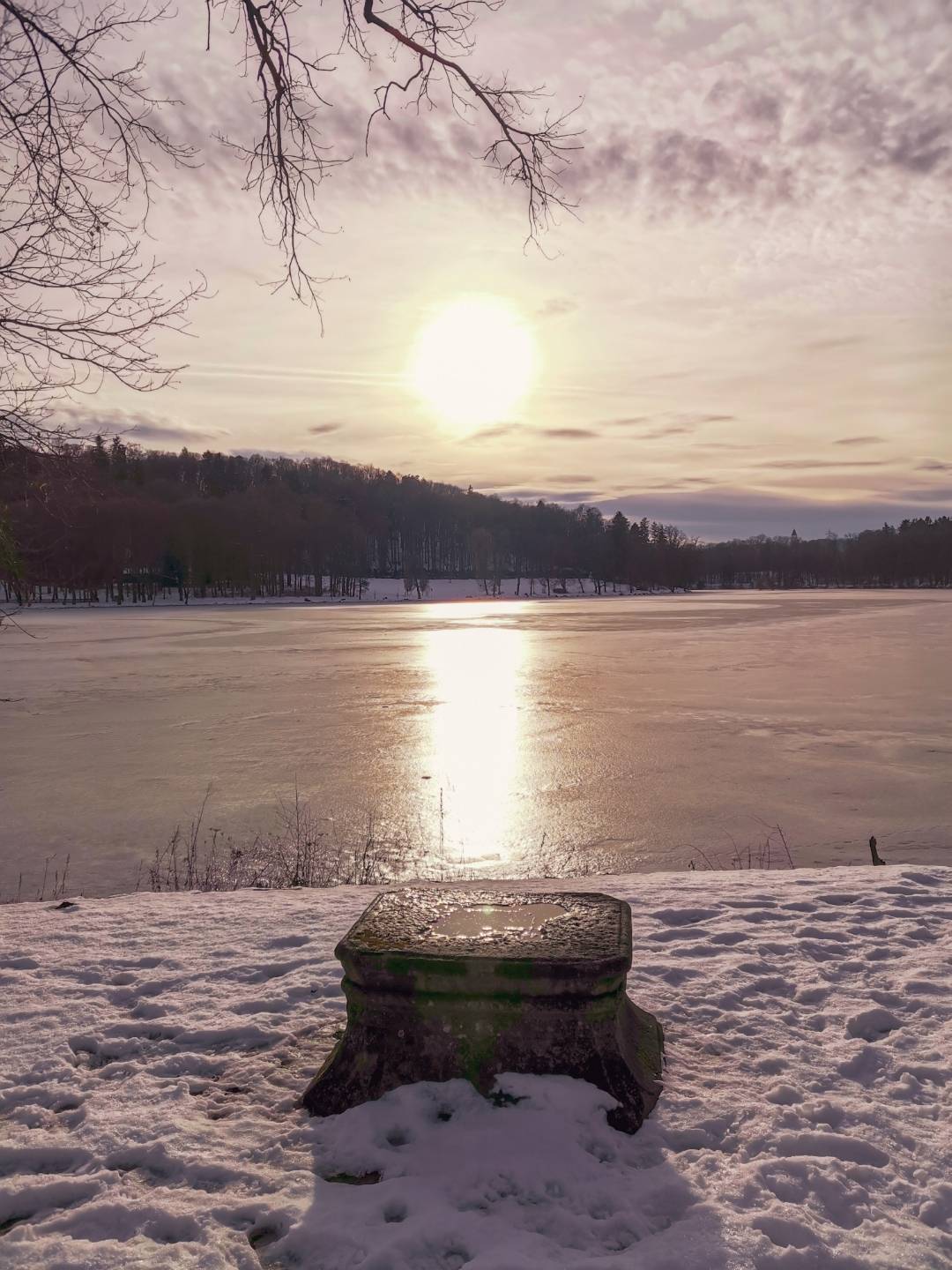 p-styletext-align-centerstrongspan-stylecolorrgb2271089font