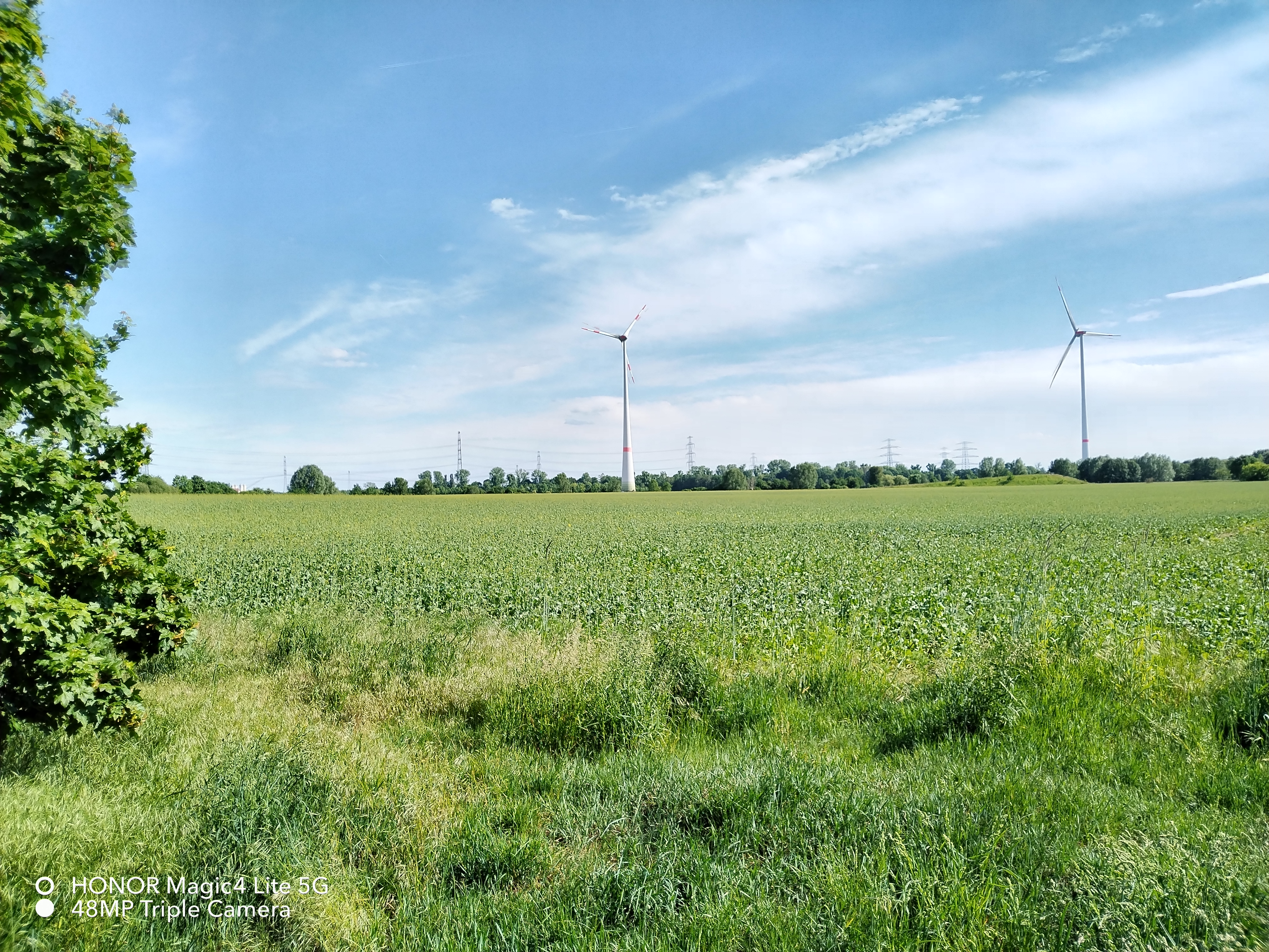 pHallo-zu-meinem-versprochenen-Bericht-zur-Kamera-des-Honor-Magic4