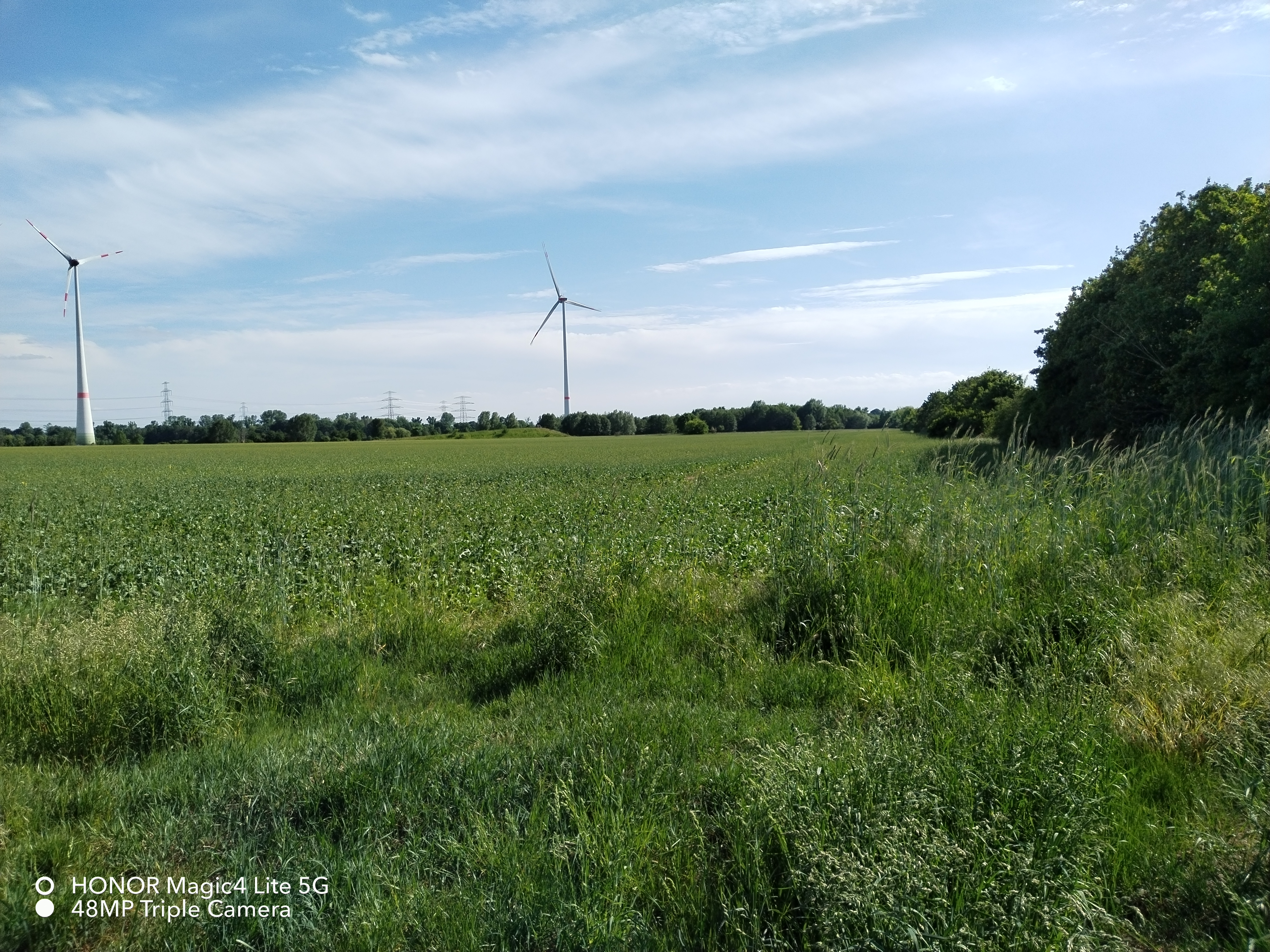 pHallo-zu-meinem-versprochenen-Bericht-zur-Kamera-des-Honor-Magic4