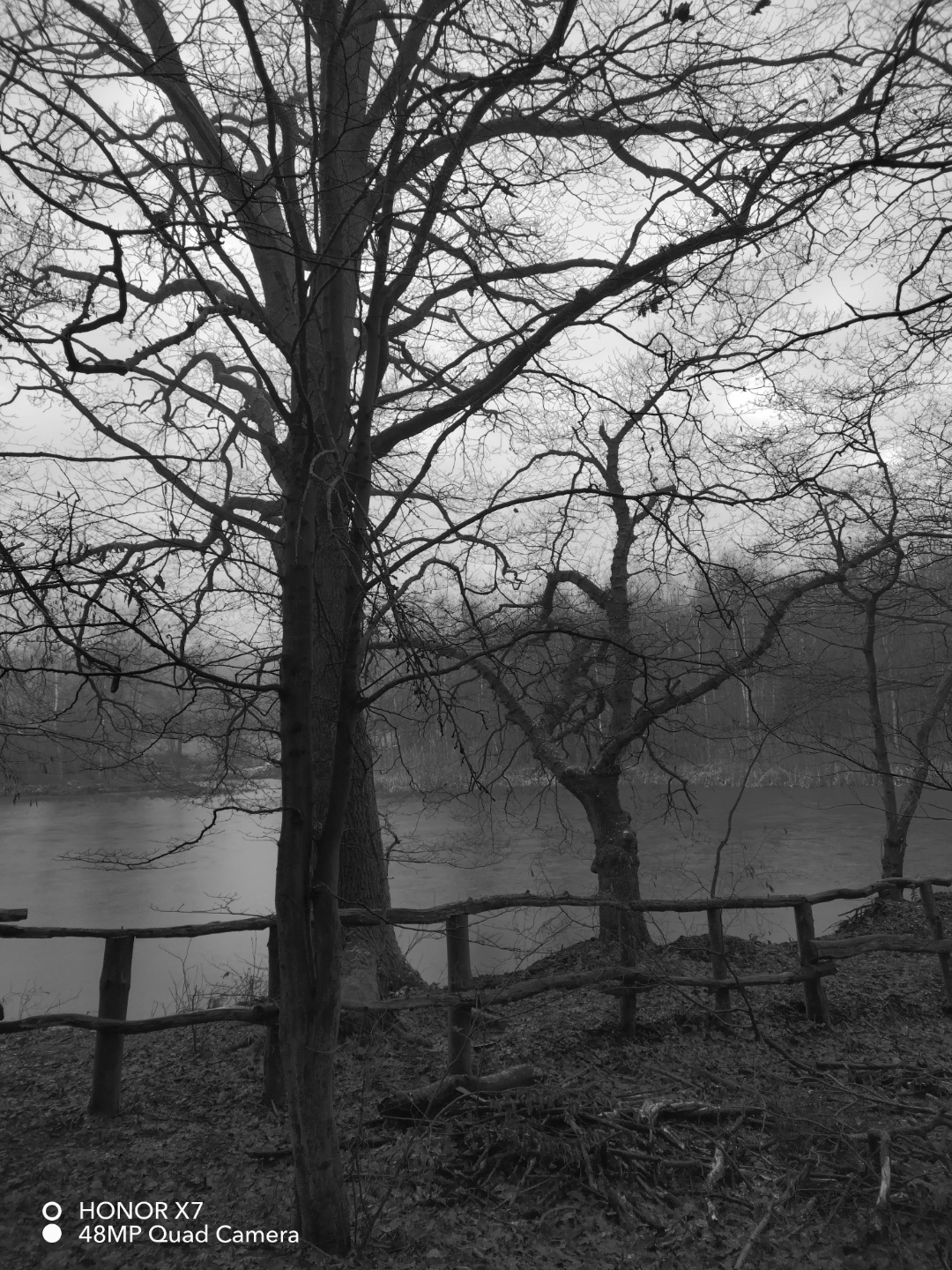 pimg-srchttpsiforum-dechihonorcomdedataimages1000020221213811b8cf4