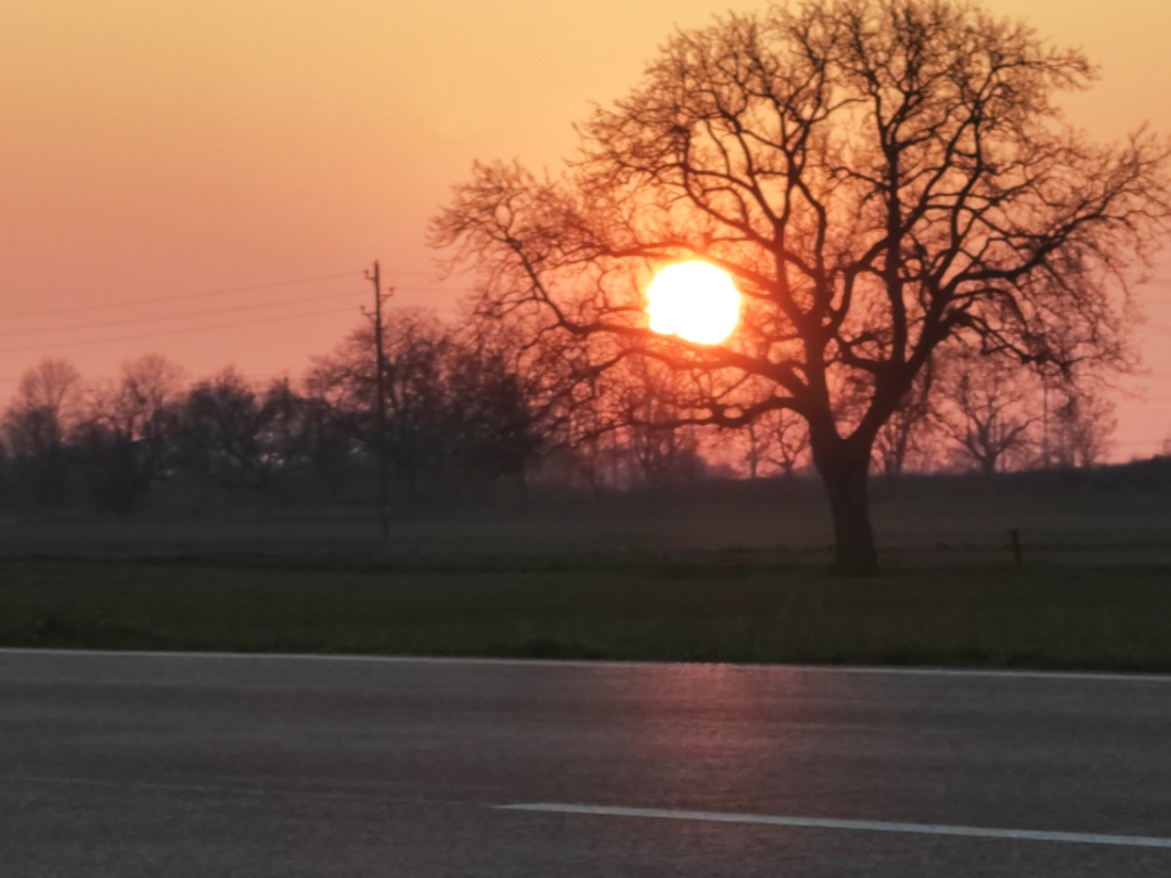 pimg-srchttpsiforum-dechihonorcomdedataimages100002023281e1f3e9c-a7ef