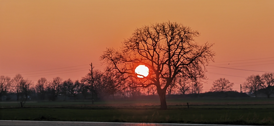 pimg-srchttpsiforum-dechihonorcomdedataimages100002023281e1f3e9c-a7ef