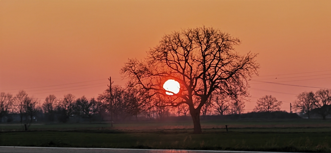 pimg-srchttpsiforum-dechihonorcomdedataimages100002023281e1f3e9c-a7ef