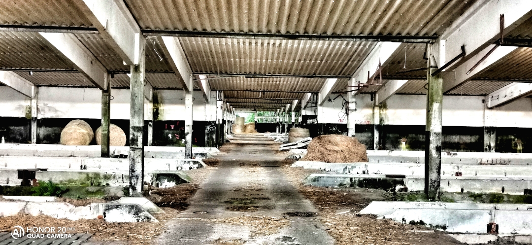 LostPlacenbspVerlassenenbspDDRnbspTierzuchtnbspmitnbspdemnbspHonor20Pr