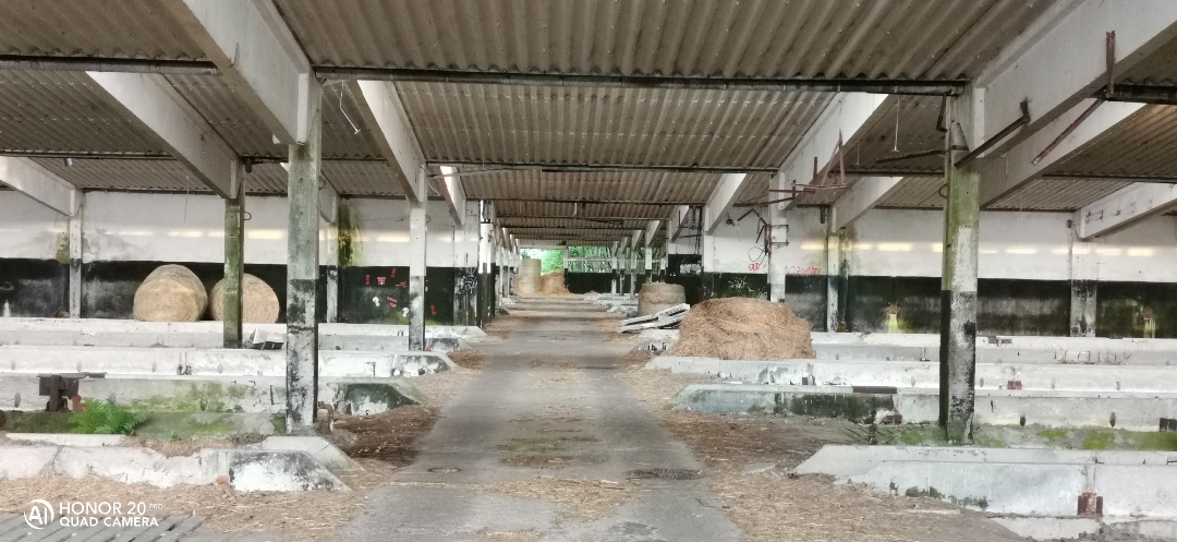 LostPlacenbspVerlassenenbspDDRnbspTierzuchtnbspmitnbspdemnbspHonor20Pr