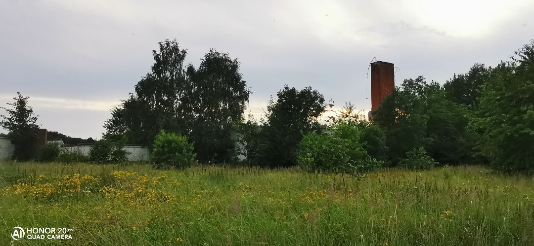 LostPlacenbspVerlassenenbspDDRnbspTierzuchtnbspmitnbspdemnbspHonor20Pr