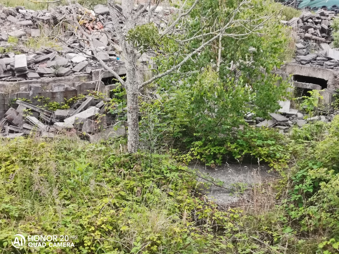 LostPlacenbspVerlassenenbspDDRnbspTierzuchtnbspmitnbspdemnbspHonor20Pr