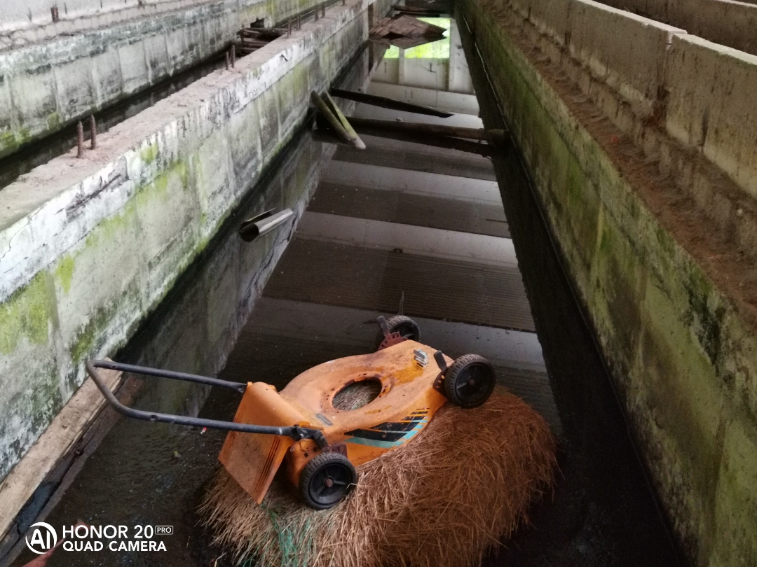 LostPlacenbspVerlassenenbspDDRnbspTierzuchtnbspmitnbspdemnbspHonor20Pr