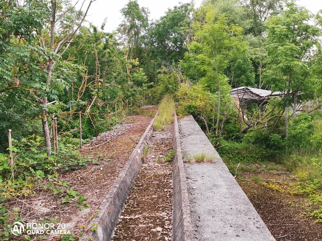 LostPlacenbspVerlassenenbspDDRnbspTierzuchtnbspmitnbspdemnbspHonor20Pr