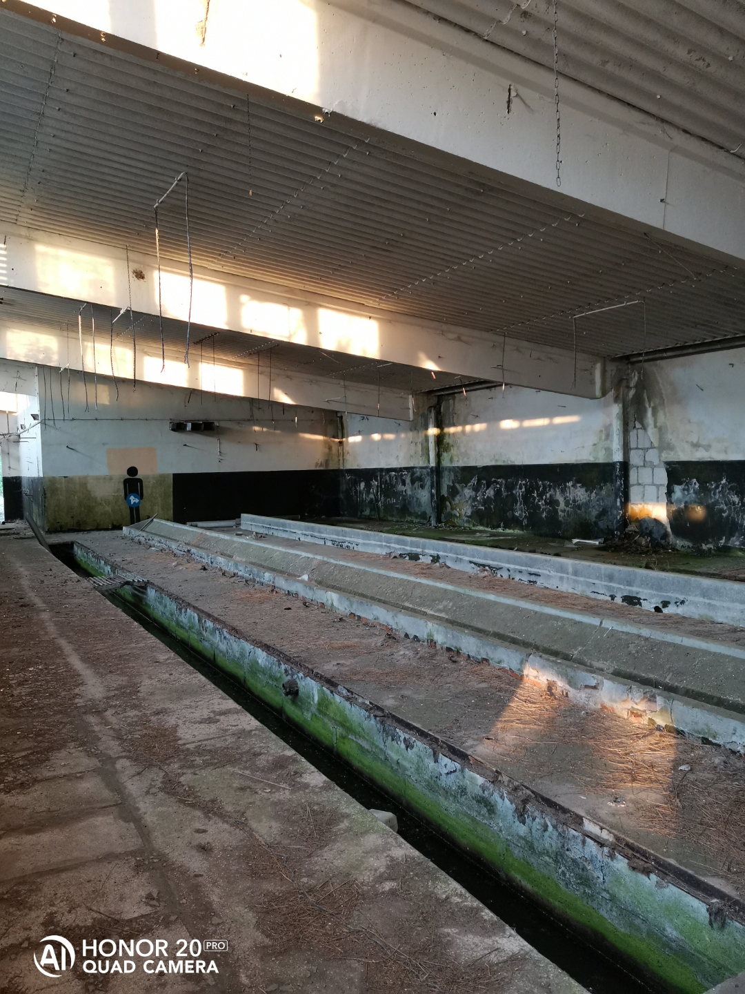 LostPlacenbspVerlassenenbspDDRnbspTierzuchtnbspmitnbspdemnbspHonor20Pr