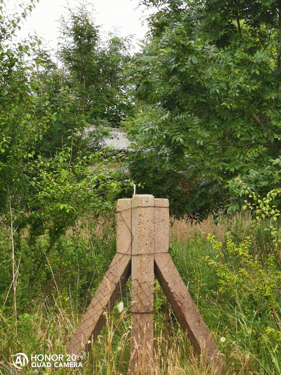 LostPlacenbspVerlassenenbspDDRnbspTierzuchtnbspmitnbspdemnbspHonor20Pr