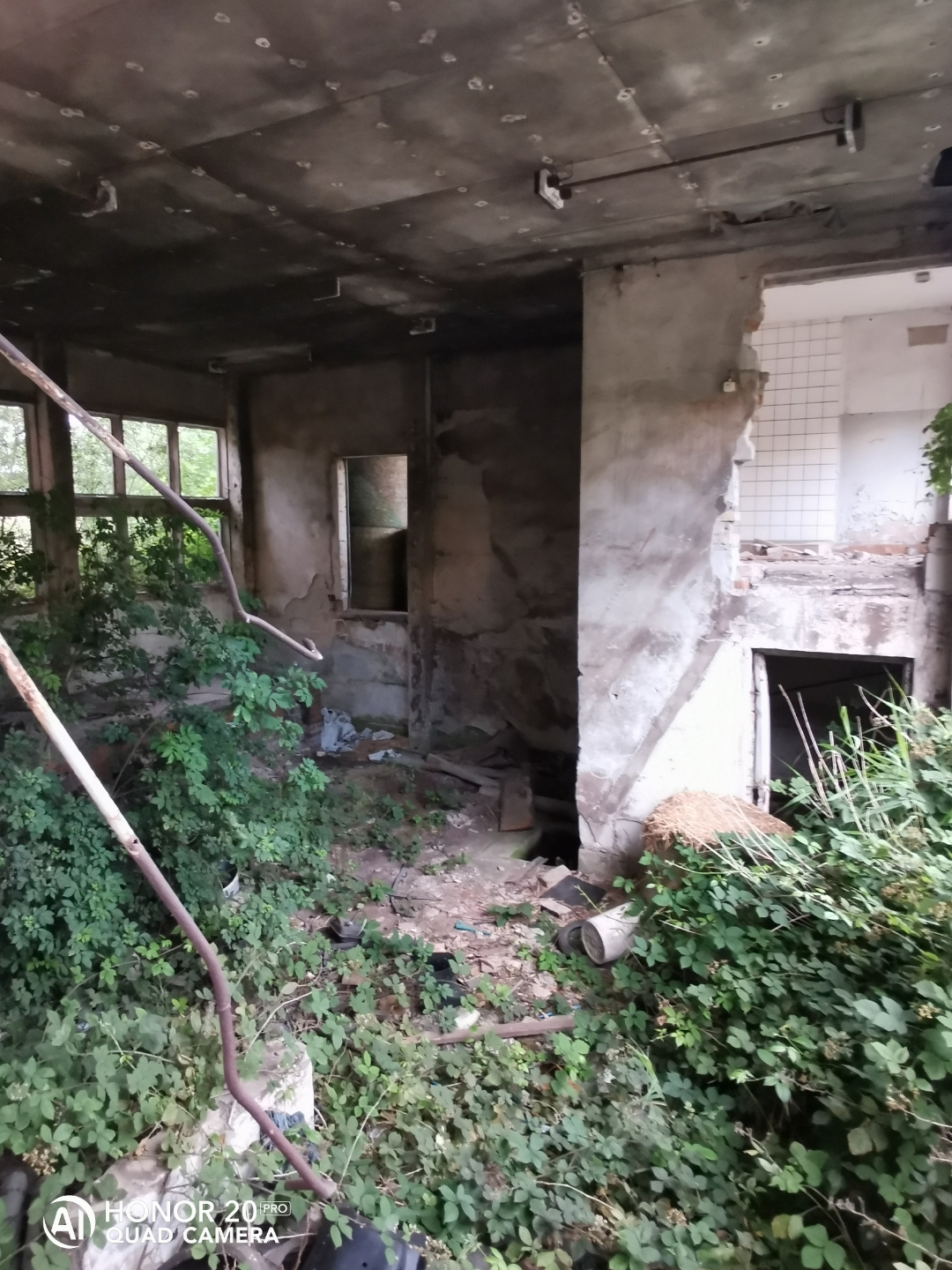 LostPlacenbspVerlassenenbspDDRnbspTierzuchtnbspmitnbspdemnbspHonor20Pr