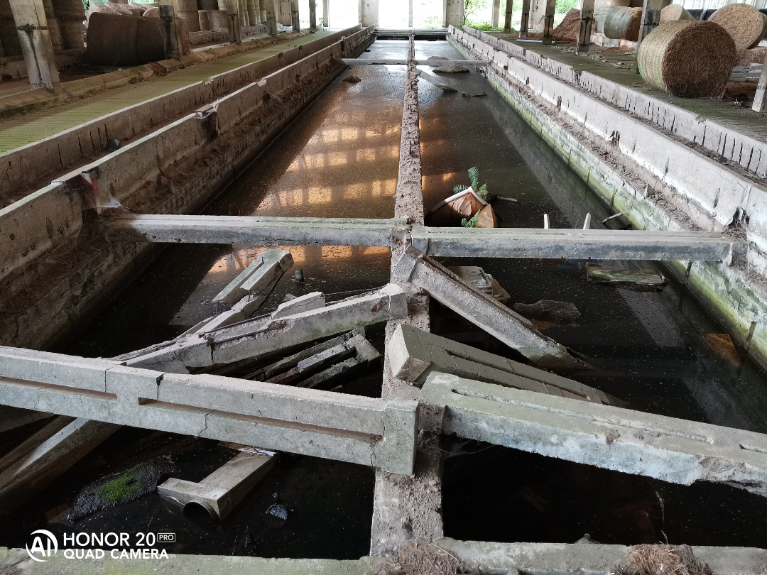 LostPlacenbspVerlassenenbspDDRnbspTierzuchtnbspmitnbspdemnbspHonor20Pr