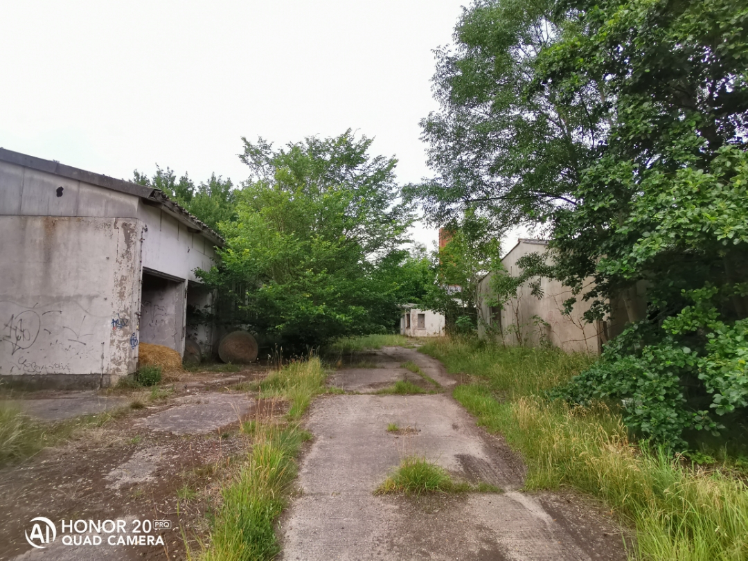 LostPlacenbspVerlassenenbspDDRnbspTierzuchtnbspmitnbspdemnbspHonor20Pr