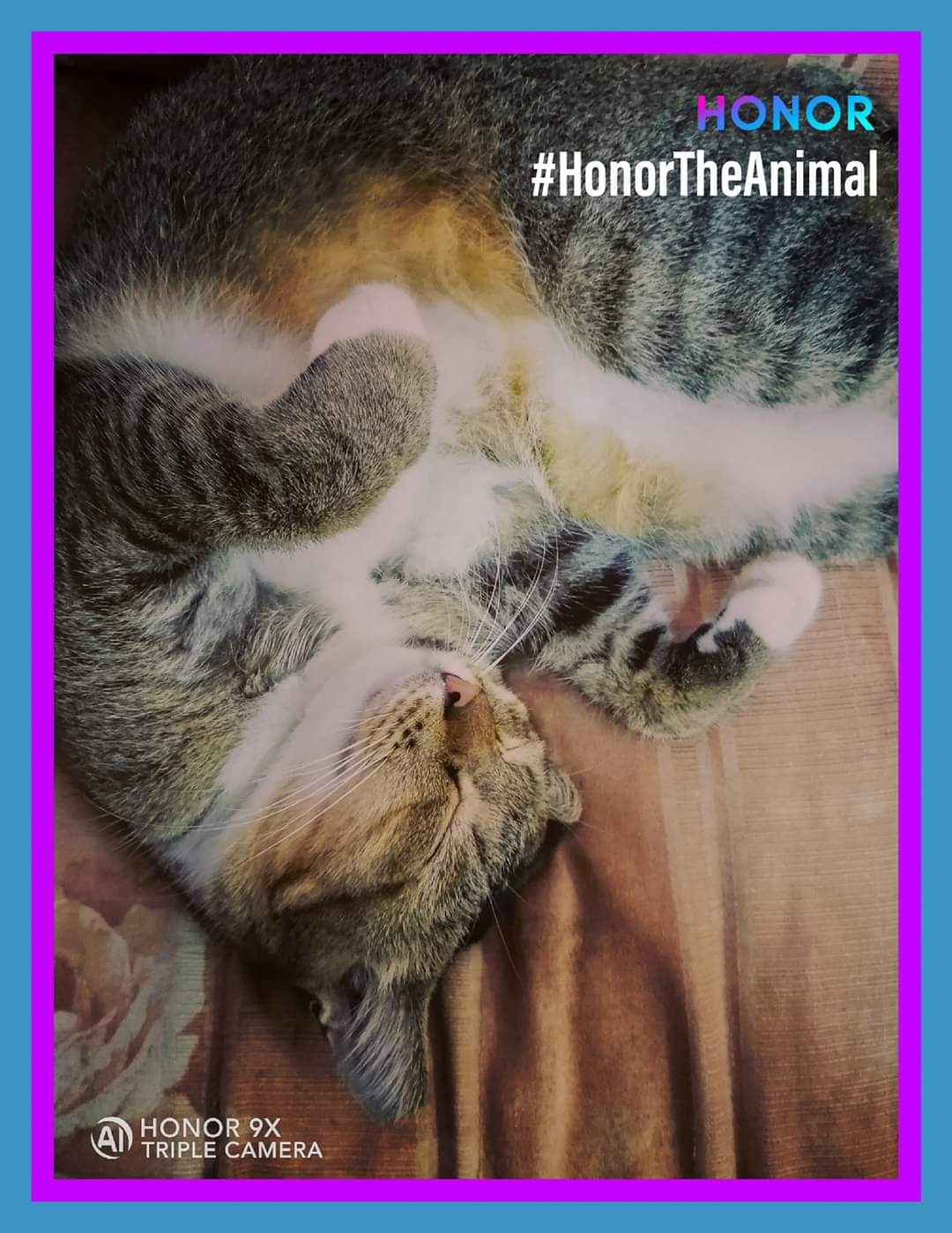 Foto-Gewinnspiel-von-HonorBetaClub-auf-Facebook