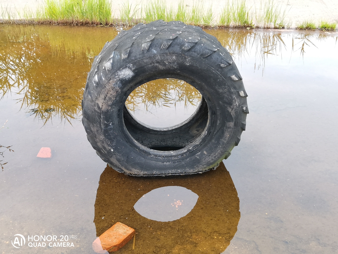 LostPlacenbspVerlassenenbspDDRnbspTierzuchtnbspmitnbspdemnbspHonor20Pr