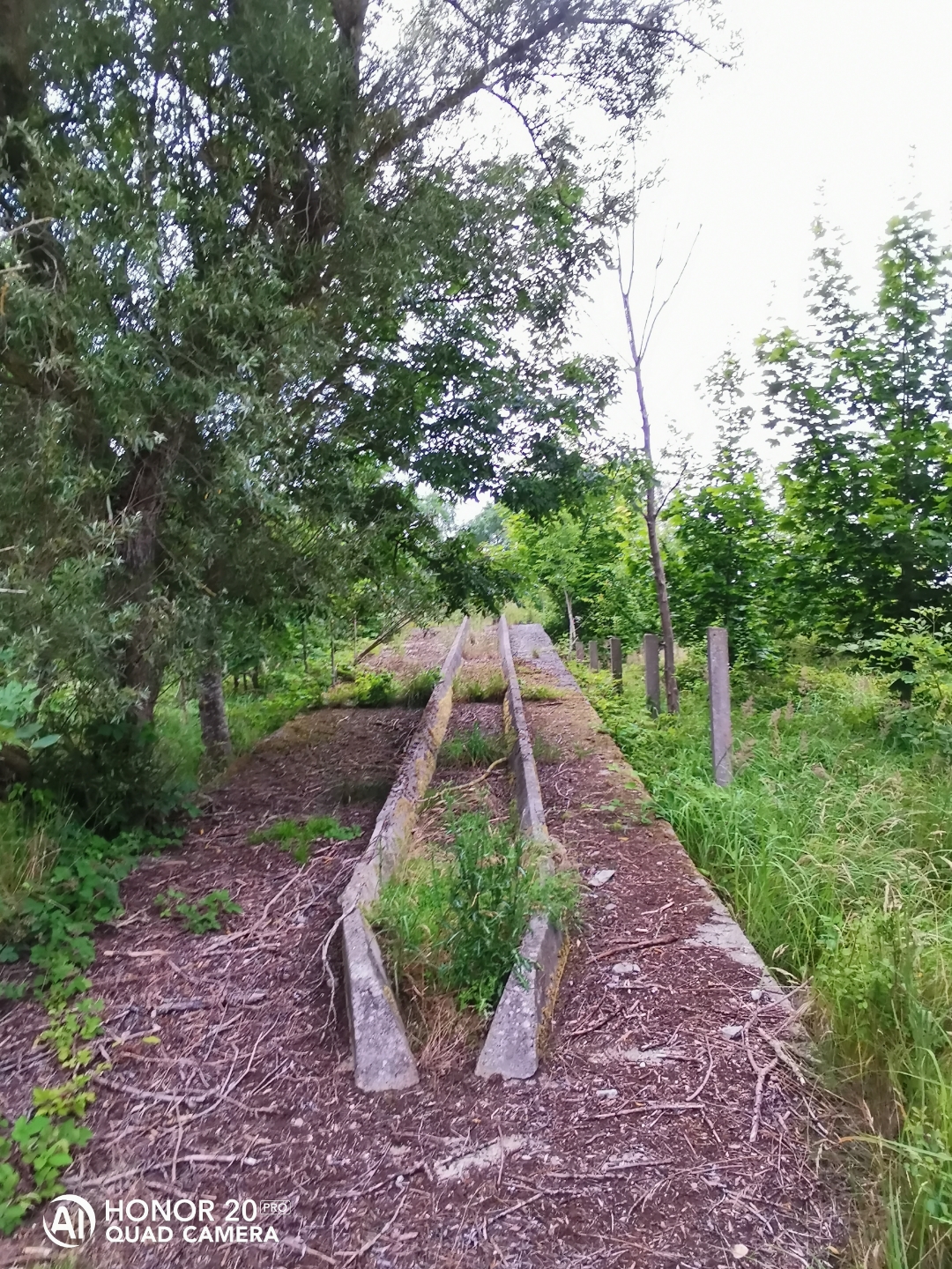 LostPlacenbspVerlassenenbspDDRnbspTierzuchtnbspmitnbspdemnbspHonor20Pr