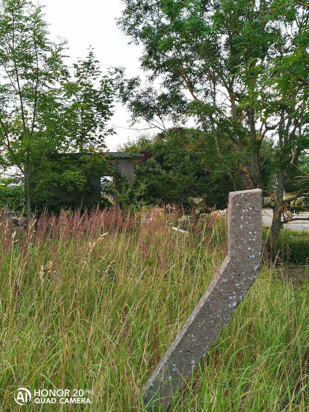 LostPlacenbspVerlassenenbspDDRnbspTierzuchtnbspmitnbspdemnbspHonor20Pr