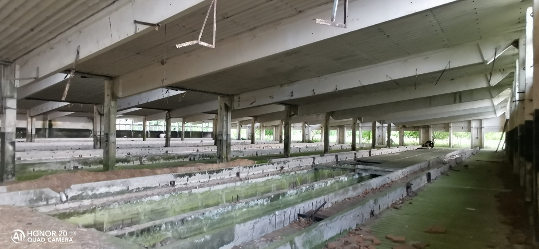 LostPlacenbspVerlassenenbspDDRnbspTierzuchtnbspmitnbspdemnbspHonor20Pr