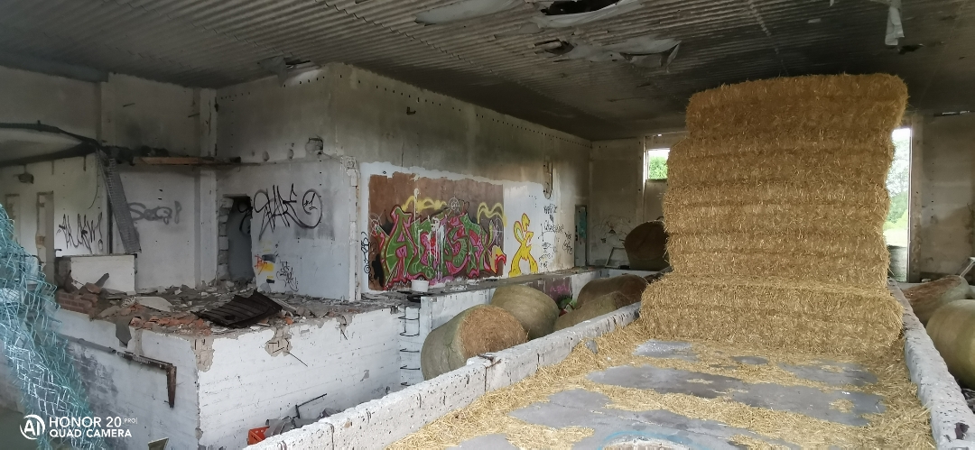 LostPlacenbspVerlassenenbspDDRnbspTierzuchtnbspmitnbspdemnbspHonor20Pr