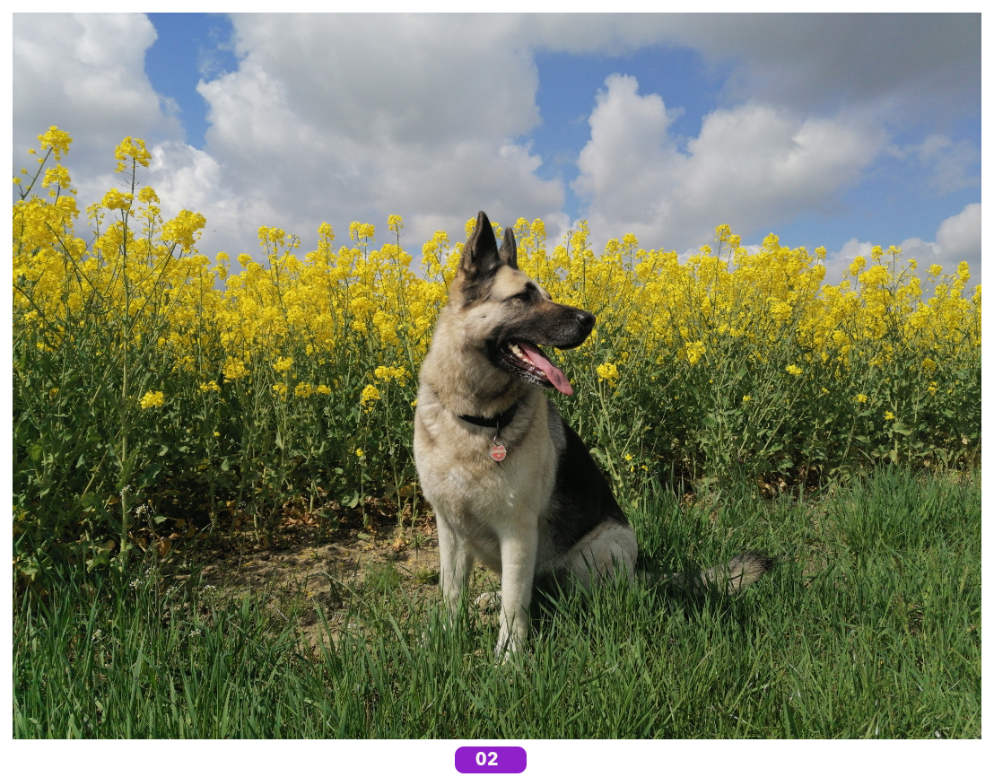 Foto-des-Monats-Jetzt-das-Bild-des-Monats-auswählen