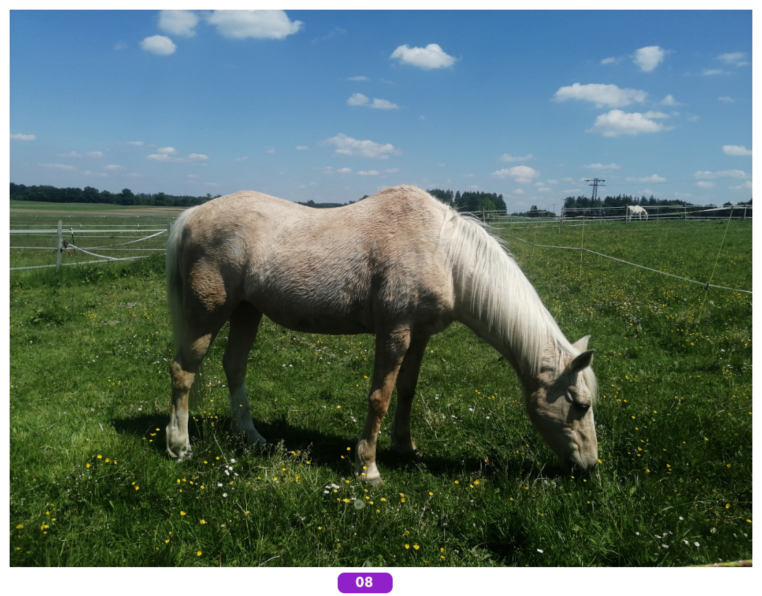Foto-des-Monats-Jetzt-das-Bild-des-Monats-auswählen