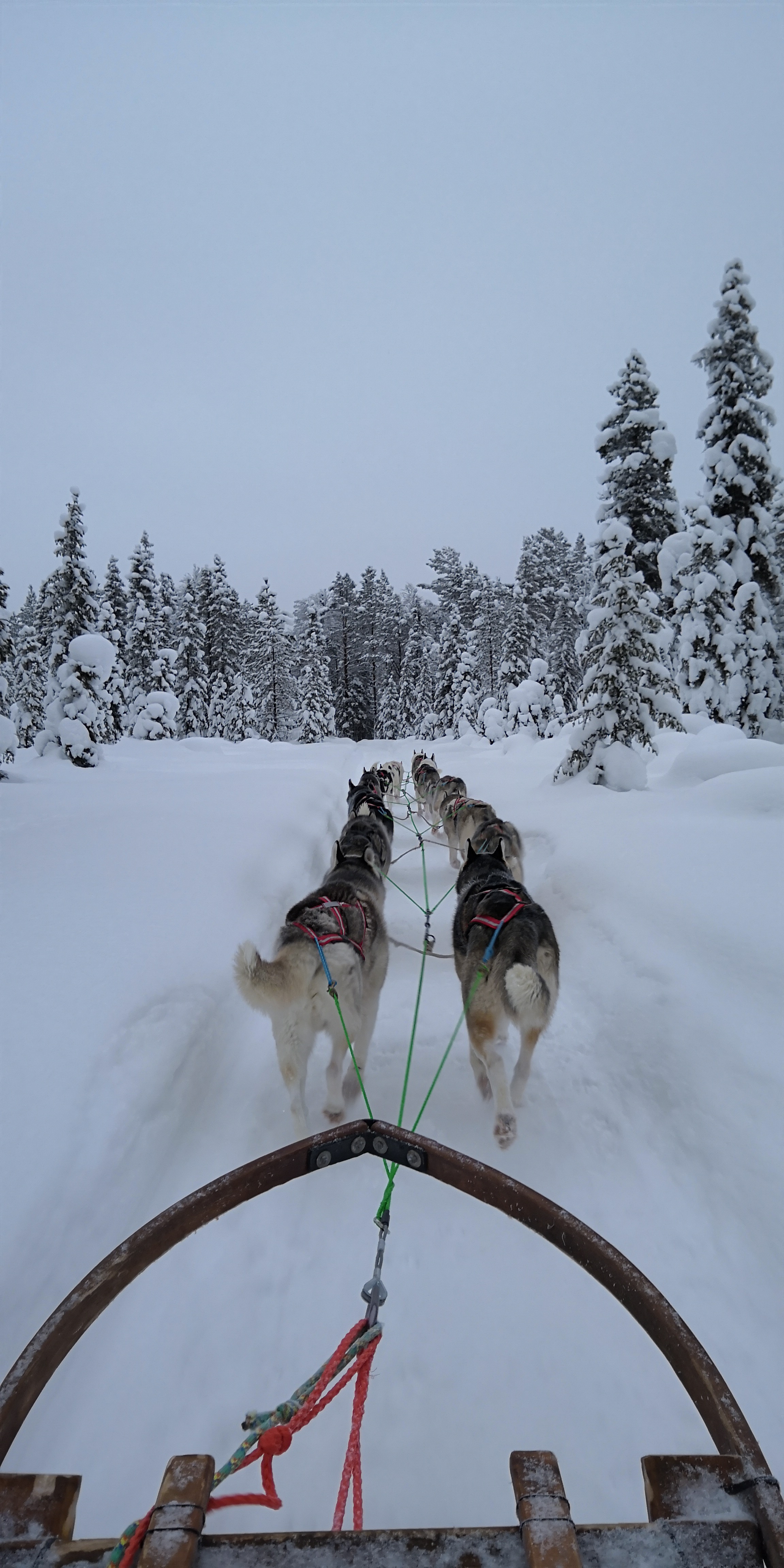 Das-Lappland-Experiment-Extrem-Test-mit-dem-Honor-9-Lite