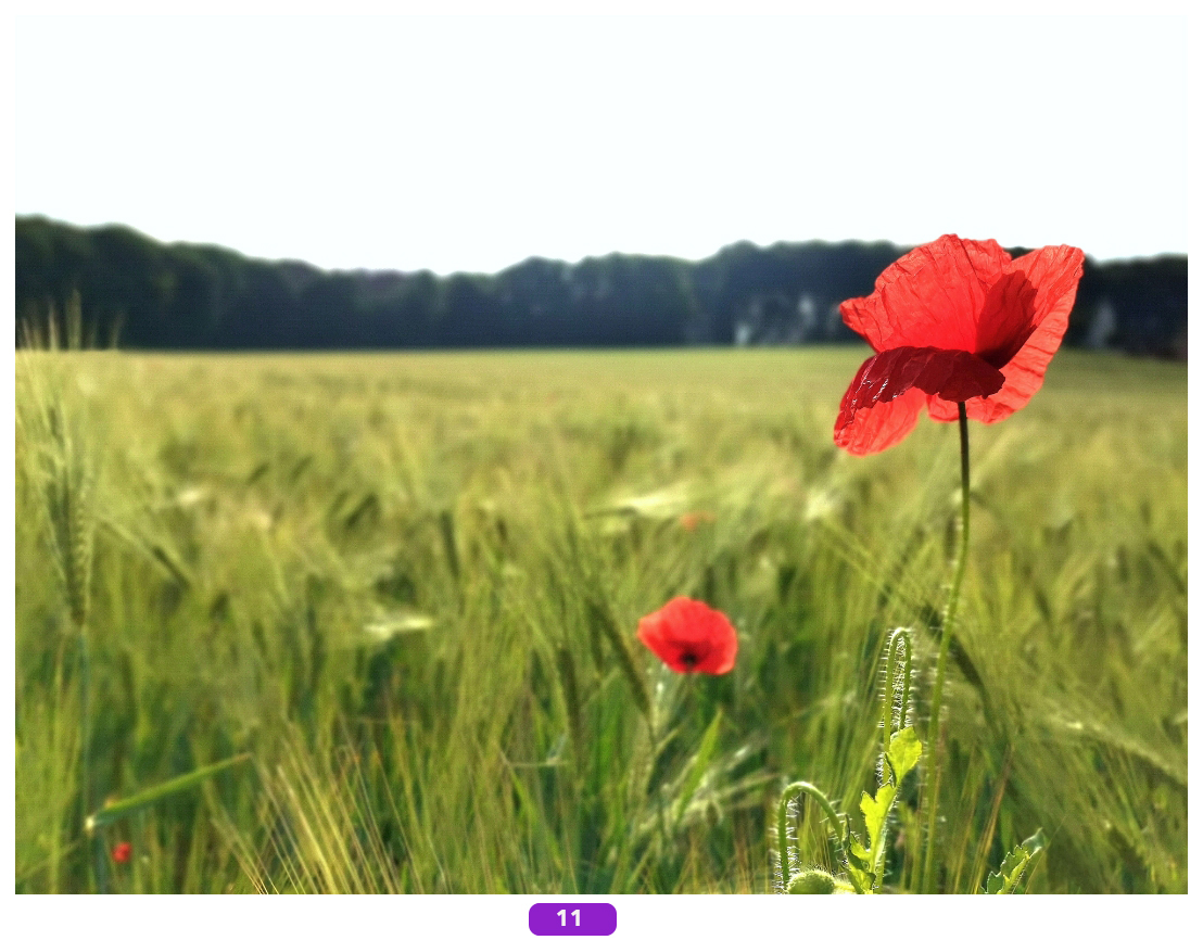 Foto-des-Monats-Jetzt-das-Bild-des-Monats-auswählen