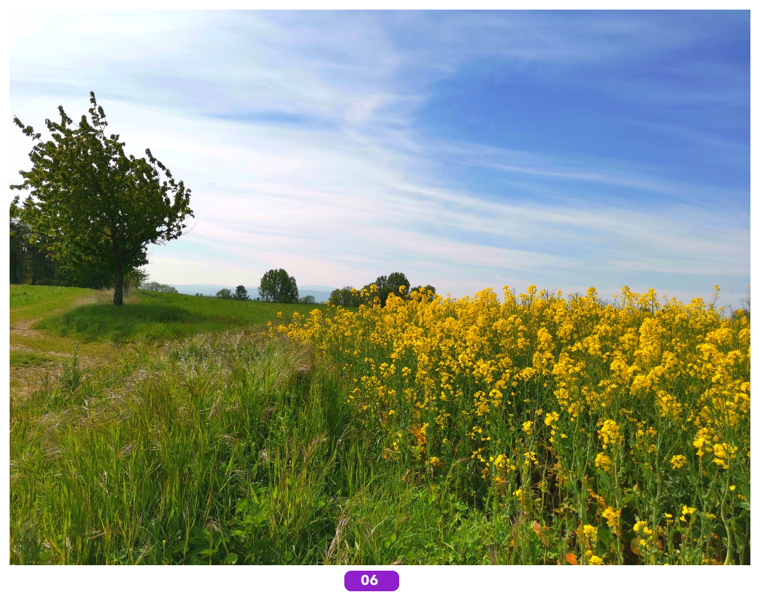 Foto-des-Monats-Jetzt-das-Bild-des-Monats-auswählen