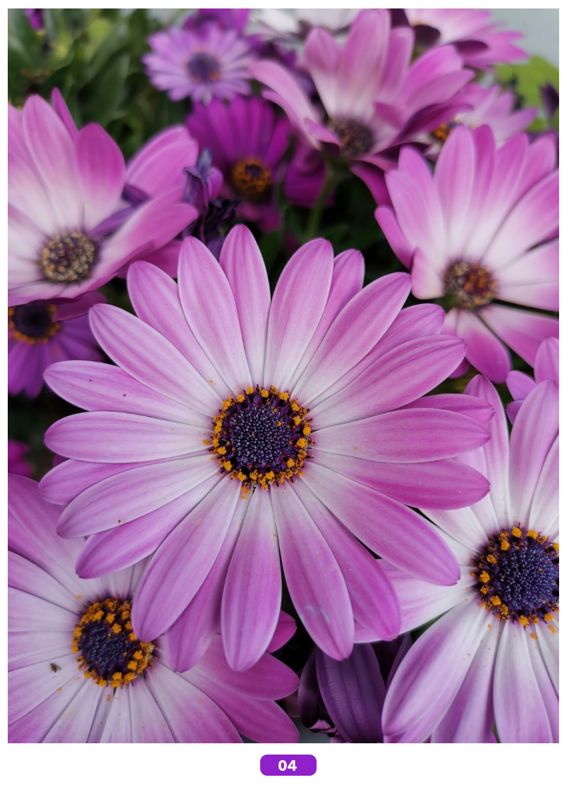 Foto-des-Monats-Jetzt-das-Bild-des-Monats-auswählen