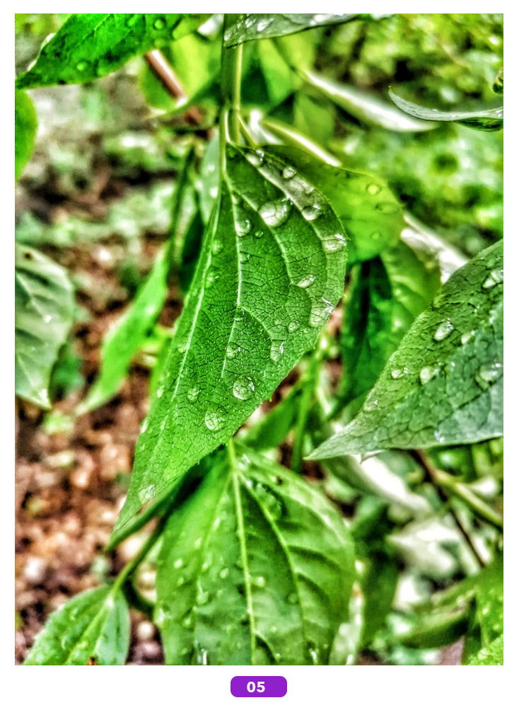 Foto-des-Monats-Jetzt-das-Bild-des-Monats-auswählen