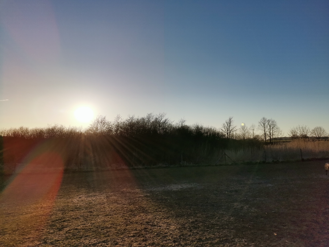 HONOR-9X-PRO---Review---Erfahrungen---Daten---Test