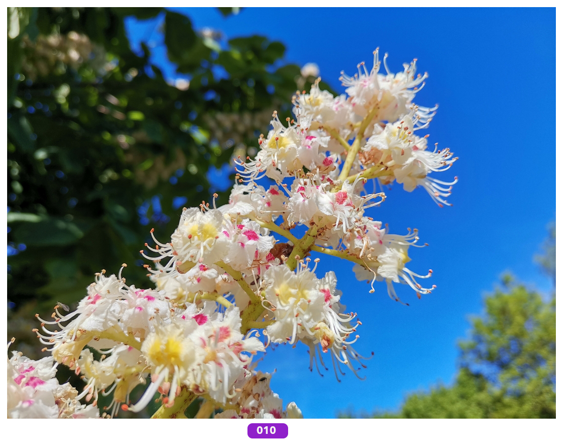 Foto-des-Monats-Jetzt-das-Bild-des-Monats-auswählen