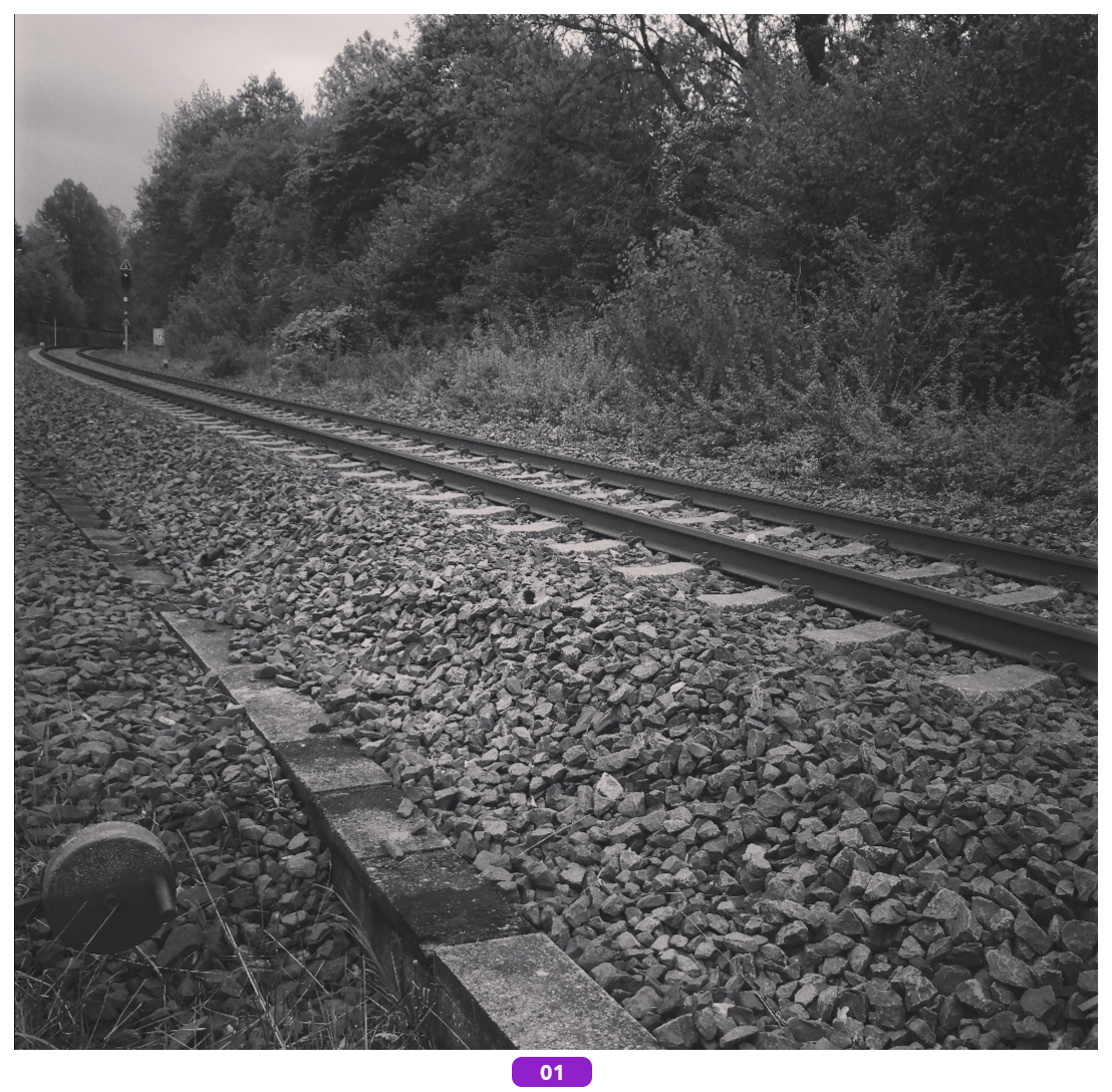 Foto-des-Monats-Jetzt-das-Bild-des-Monats-auswählen