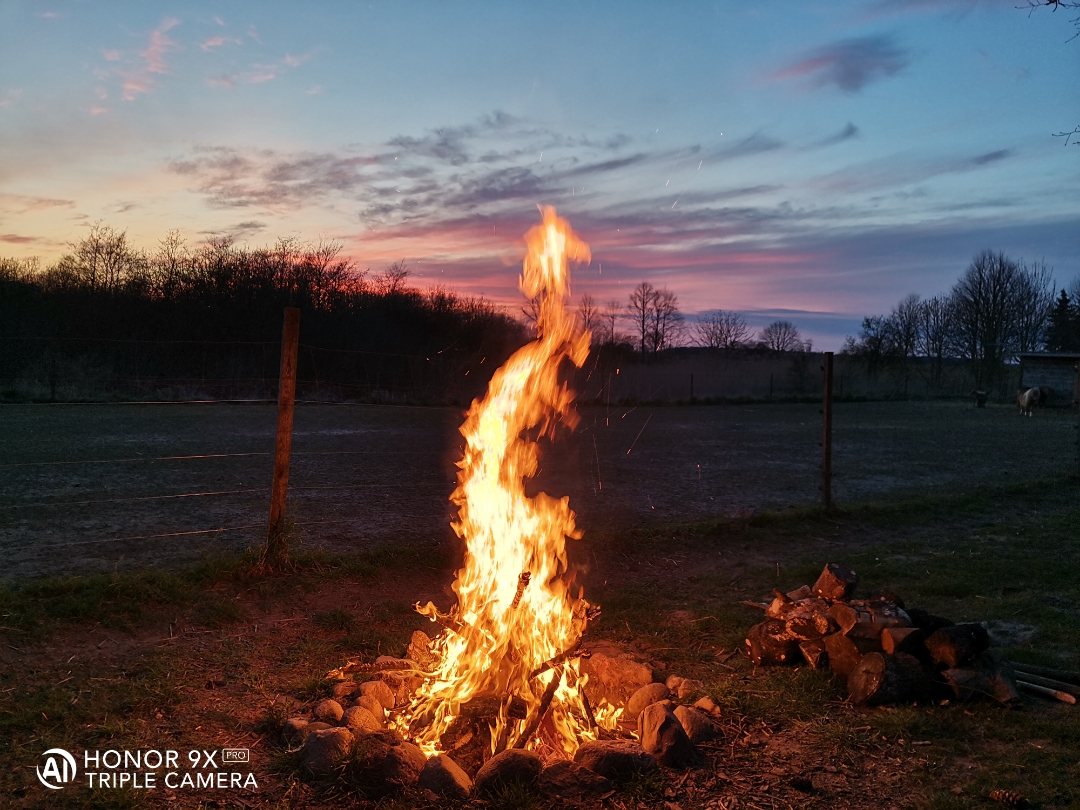 HONOR-9X-PRO---Review---Erfahrungen---Daten---Test