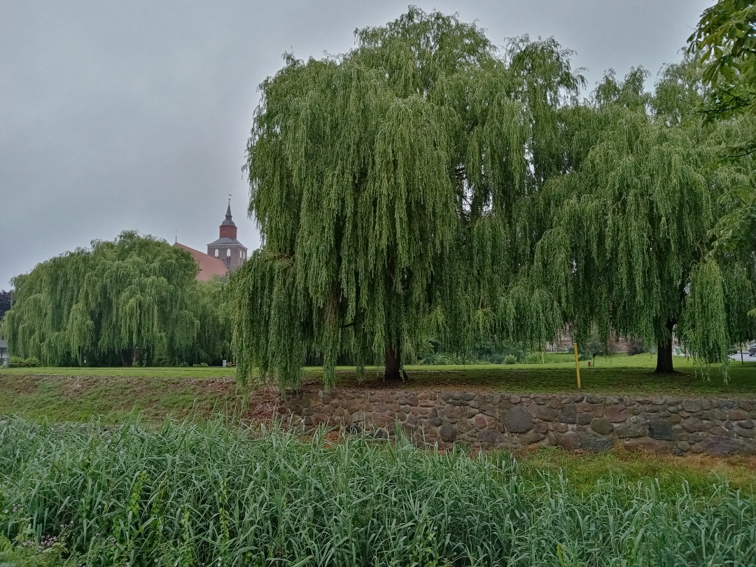 HONOR-9A-Erste-Fotos-mit-dem-HONOR-9A