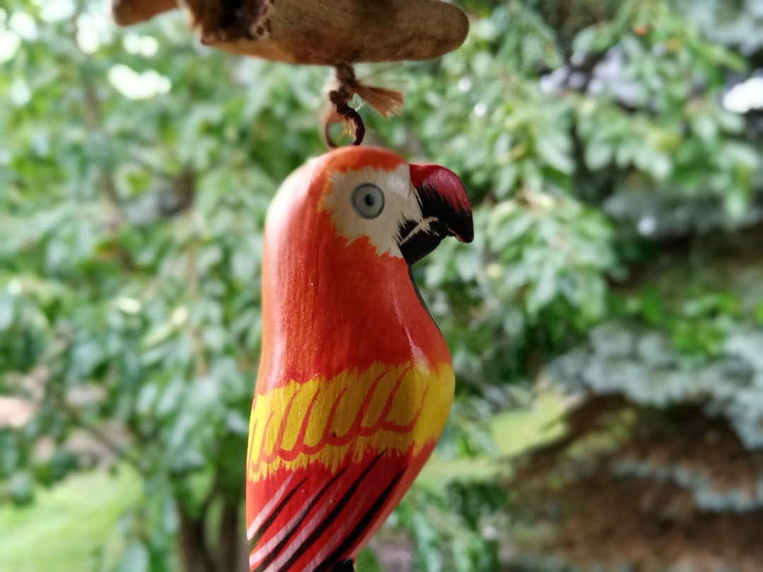 HONOR-9A-Erste-Fotos-mit-dem-HONOR-9A