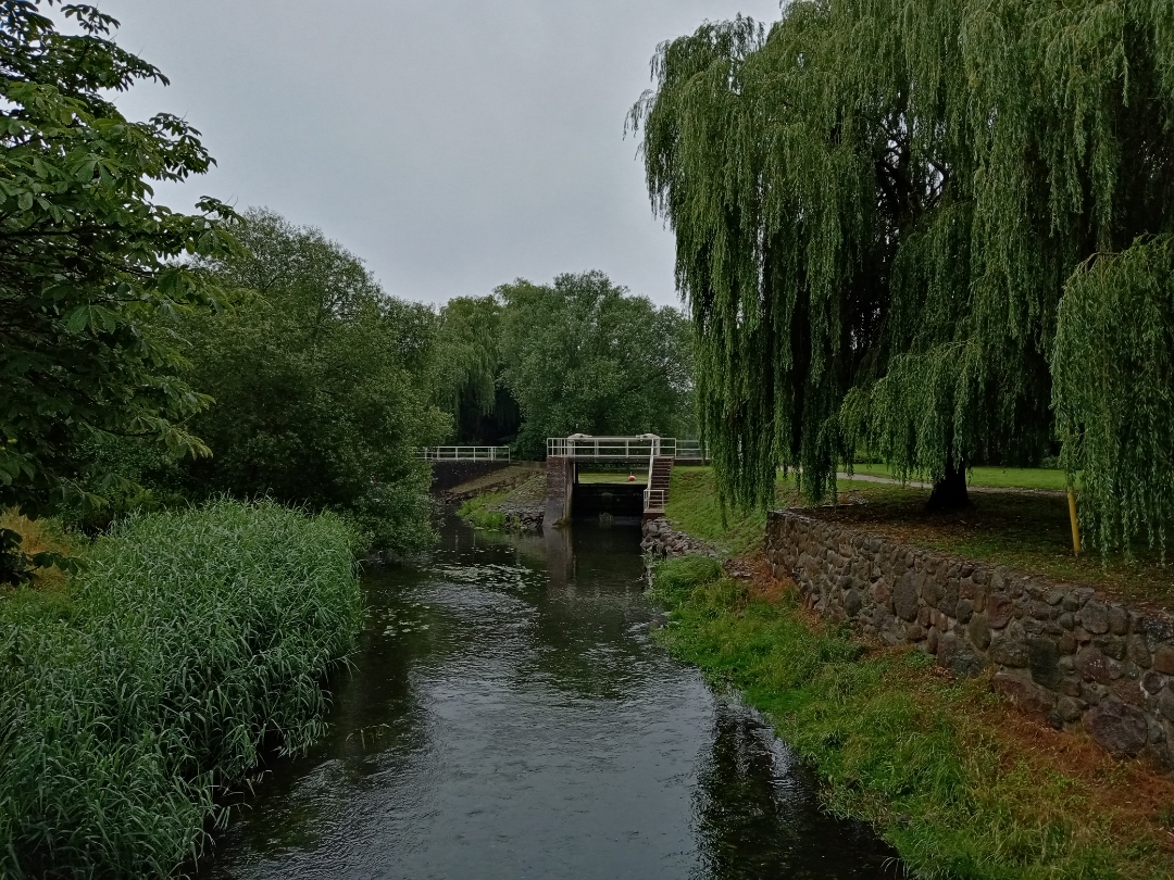 HONOR-9A-Erste-Fotos-mit-dem-HONOR-9A