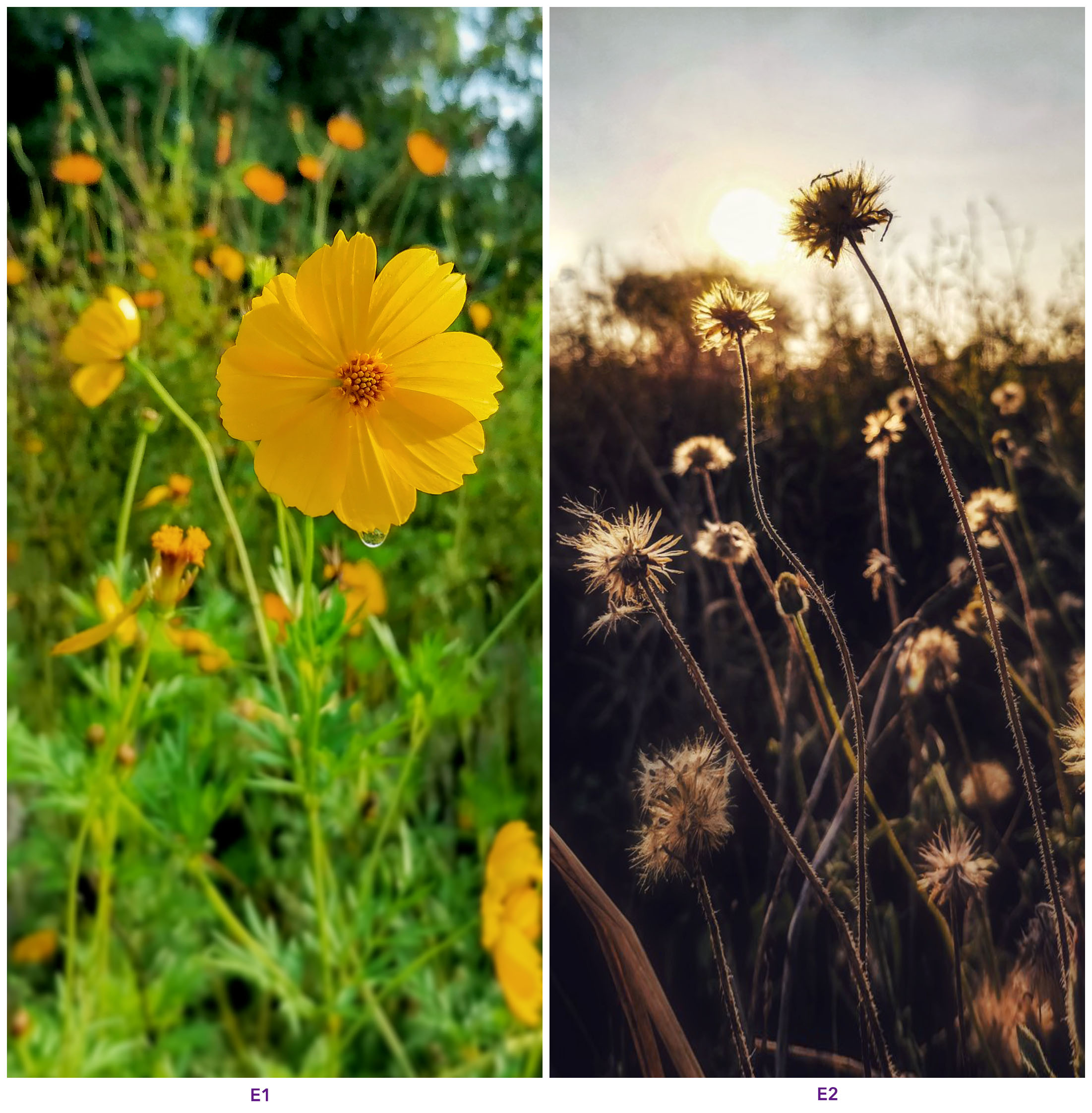 Wallpaper-Teil-3---Schöne-Hintergrundbilder-für-dein-HONOR-9X-PRO-amp