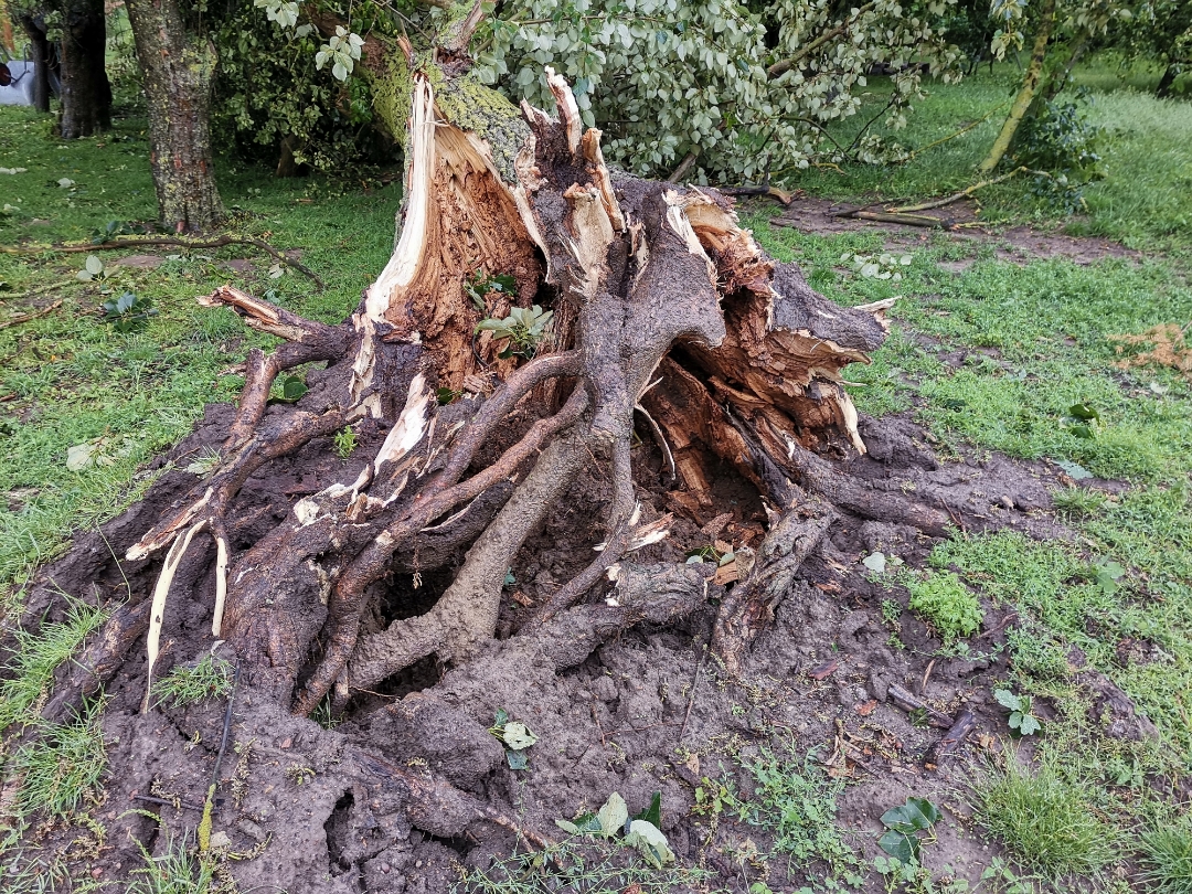 SchwerenbspSturmschädennbsp--shots-by-9X-Pro