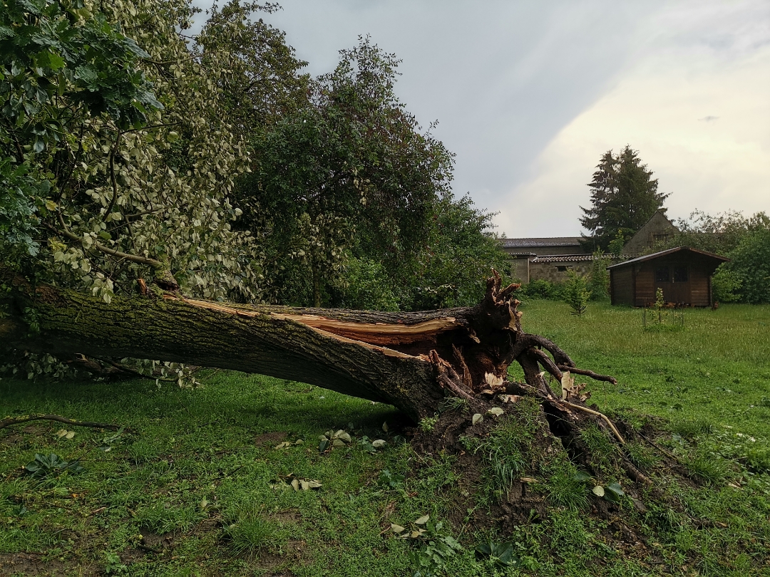 SchwerenbspSturmschädennbsp--shots-by-9X-Pro