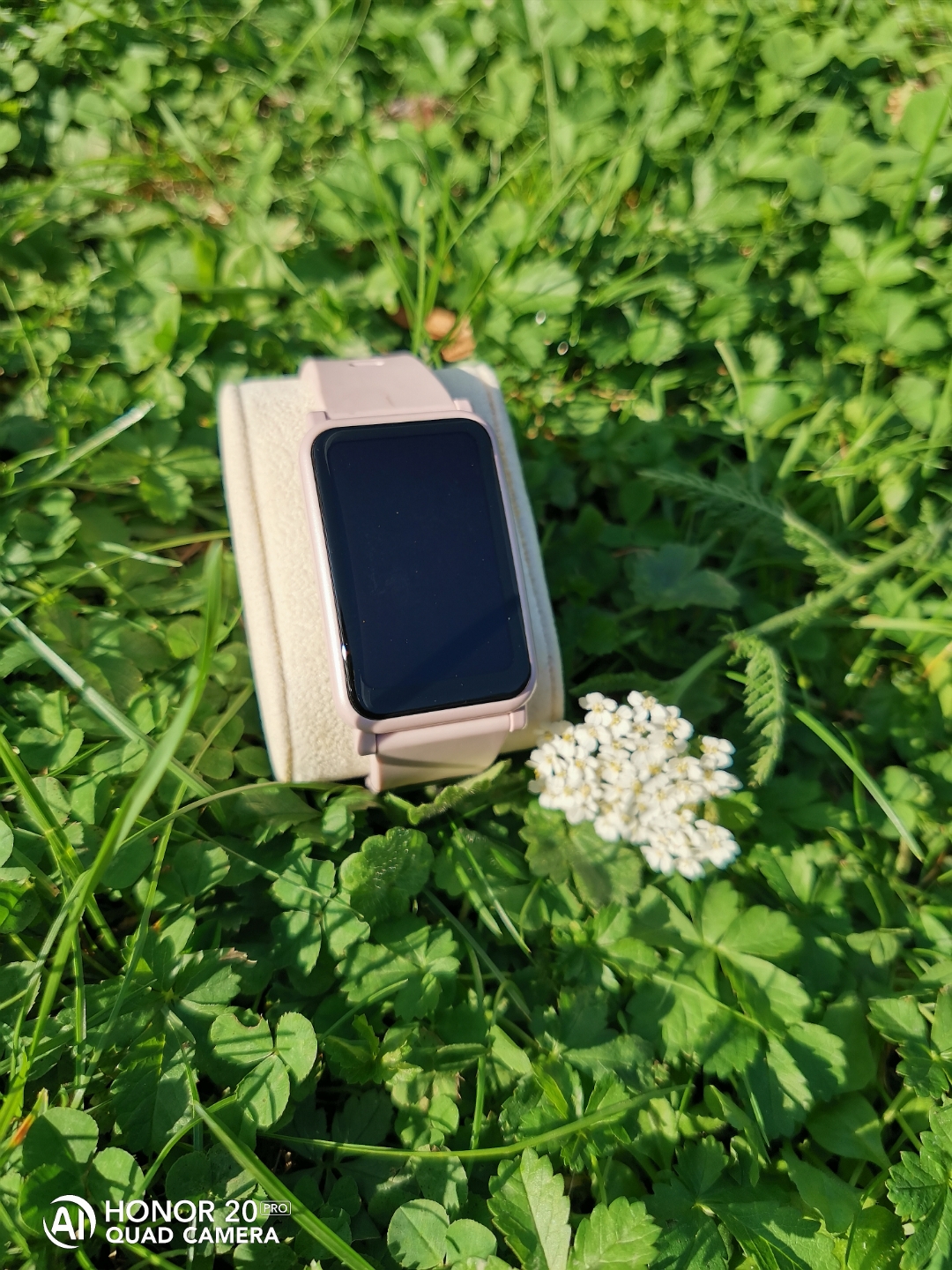 pimg-srchttpsiforum-dechihonorcomdedataimages20201049b315efd-ad2a-4455