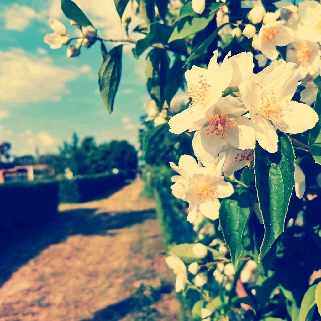 Like-This-oder-lass-dich-in-den-Moment-fallen