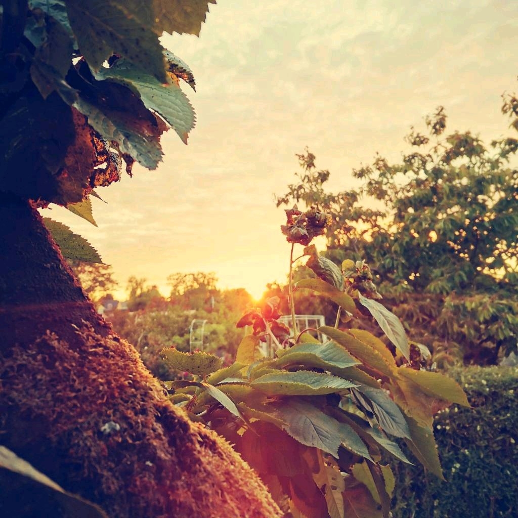 Like-This-oder-lass-dich-in-den-Moment-fallen